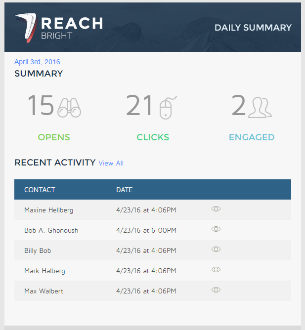 reachbright-screenshot-daily-summary